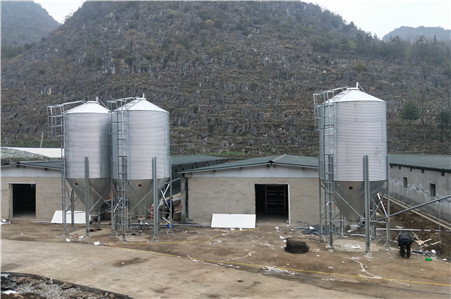 20噸飼料塔鳳翔農牧湖北豐翔農牧出品